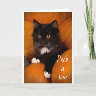 PEEKING OUT TO SAY **HAPPY 2nd BIRTHDAY** to YOU  Card