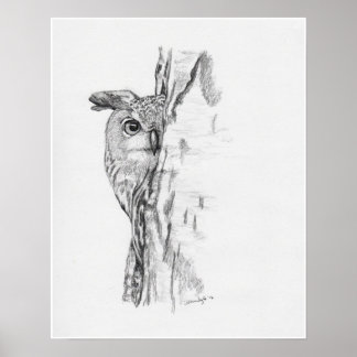 Peeking Owl" Poster