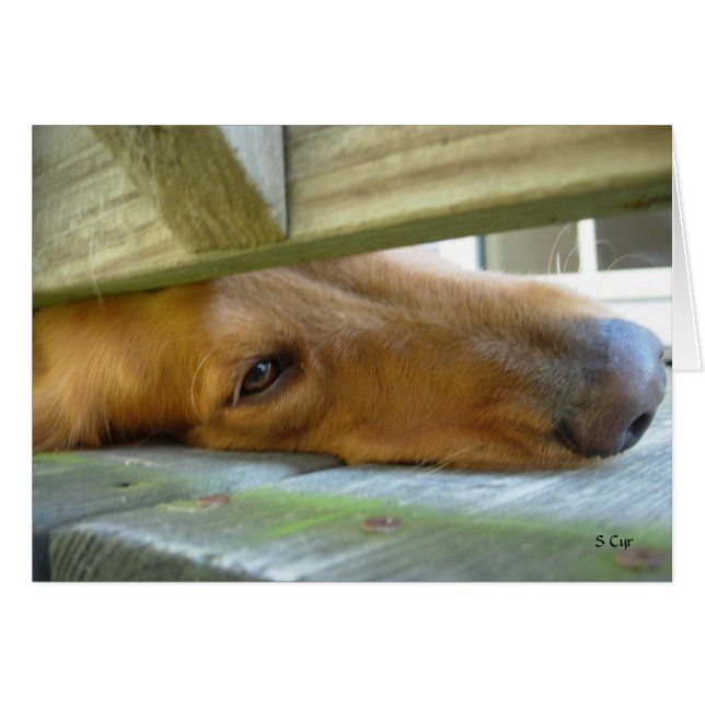 Peeking, S Cyr (Front Horizontal)