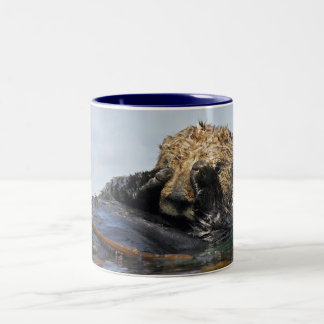 Peeking Sea Otter Mug