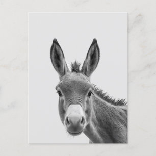 Peeking Sneaky Donkey Cute  Postcard