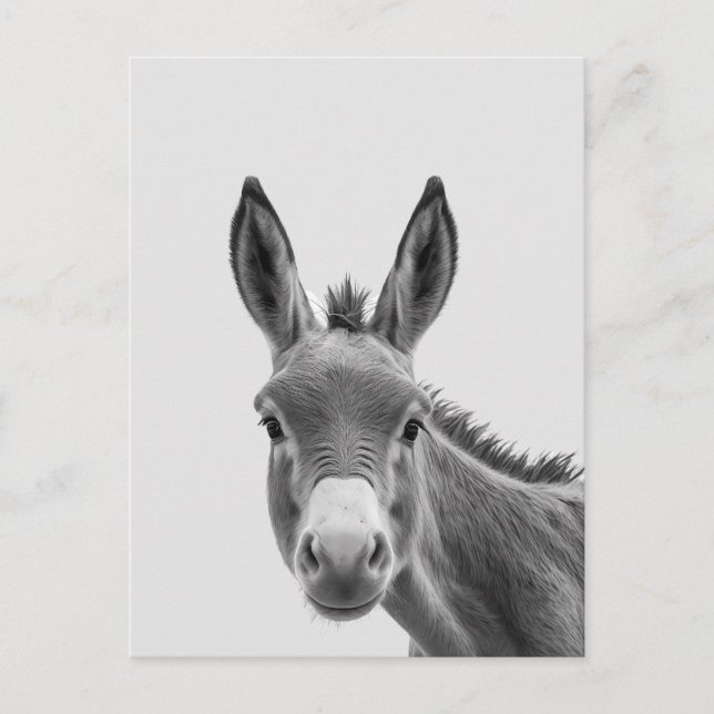 Peeking Sneaky Donkey Cute  Postcard (Front)