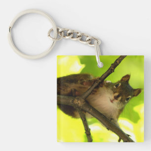 Peeking Squirrel Key Ring