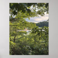 Peeking through the Trees Poster