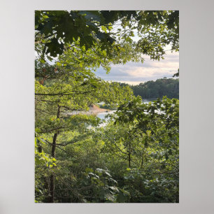 Peeking through the Trees Poster