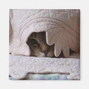Peeking Tom magnet