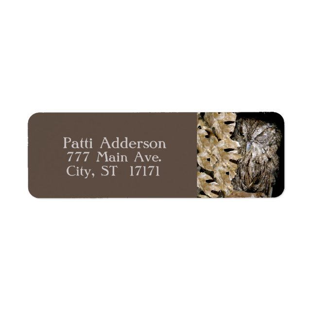 Peeking Winking Owl Return Address Label (Front)