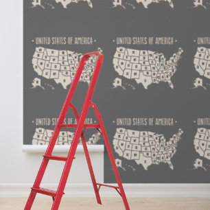 Peel Stick United States of America Map Wallpaper