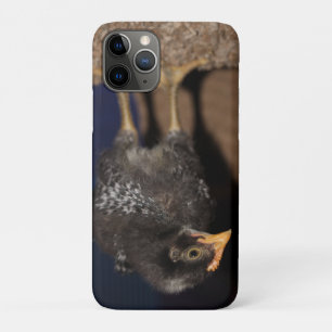 Peep iPhone 11 Pro Case