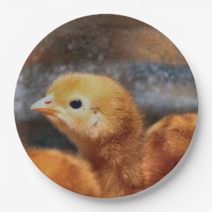 Peep peep paper plate