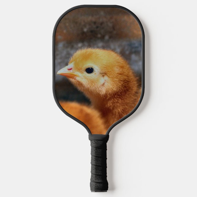 Peep peep pickleball paddle (Front)