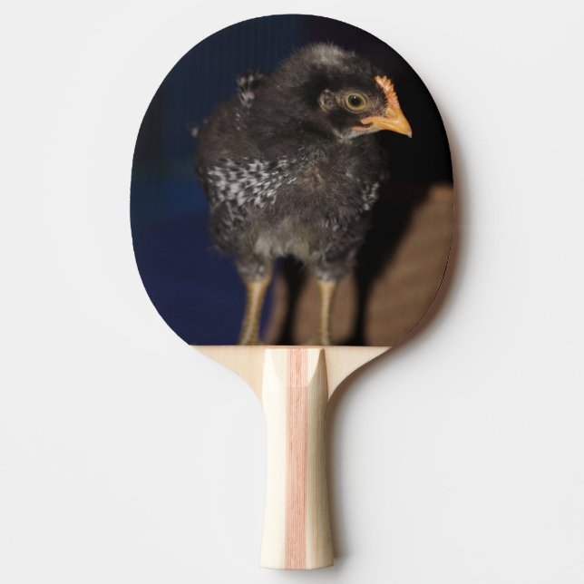 Peep Ping Pong Paddle (Front)