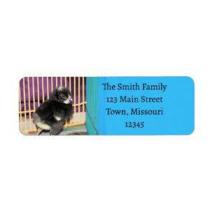 Peep Return Address Label