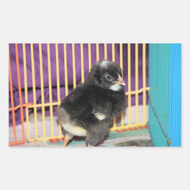 Peep Square Sticker (Front)