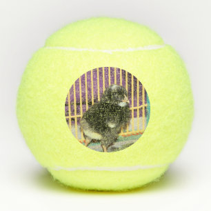 Peep Tennis Balls