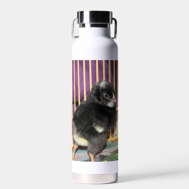 Peep Water Bottle (Front)