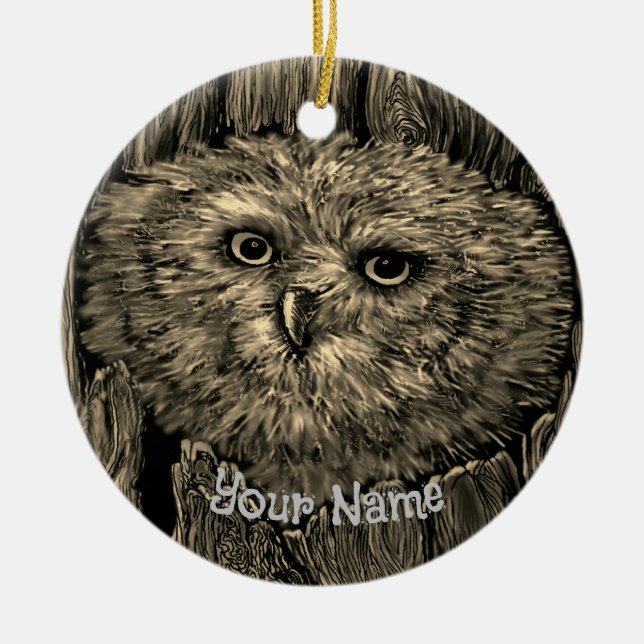 Peeper Owl   Ceramic Ornament (Front)