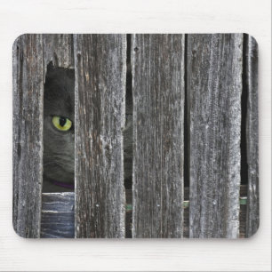Peepin Tom Mouse Pad