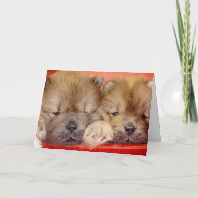 Peeping Chows Holiday Card (Front)