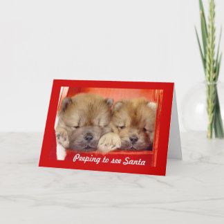 Peeping for Santa Holiday Card