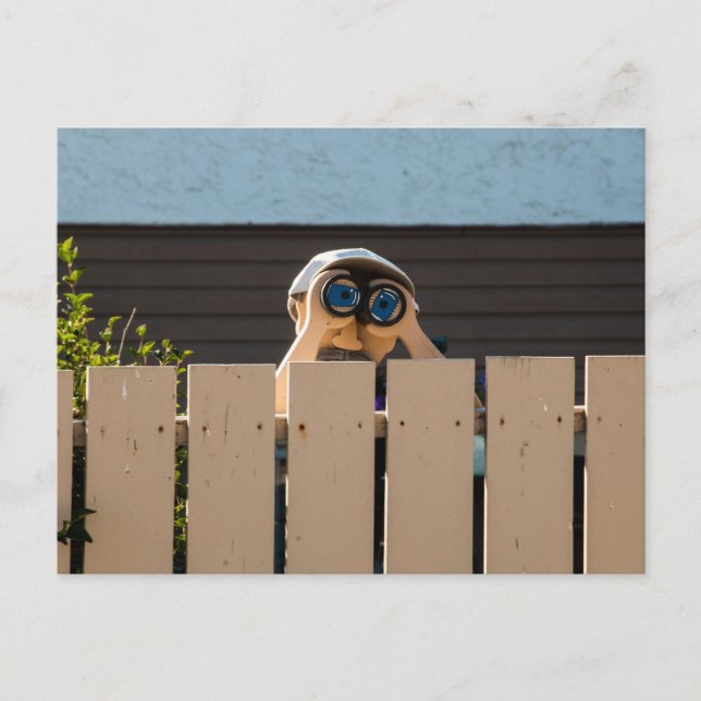 Peeping  Neighbour Postcard (Front)