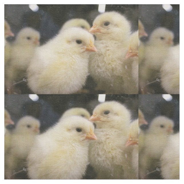 Peeps Fabric (Close Up)