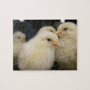 Peeps Jigsaw Puzzle