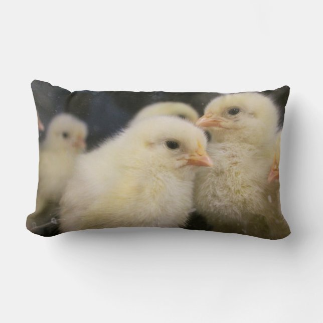 Peeps Lumbar Cushion (Front)