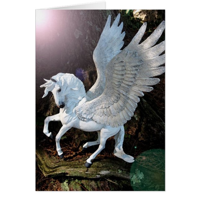 Pegasus (Front)