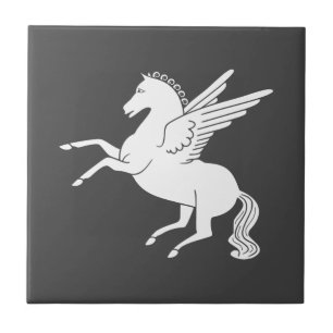 Pegasus Ceramic Tile