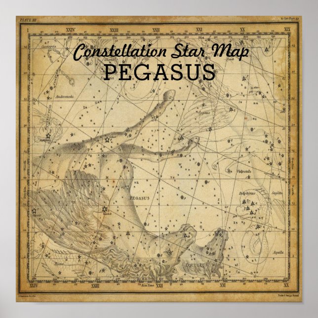 Pegasus Horse Constellation Star Map Andromeda Poster (Front)