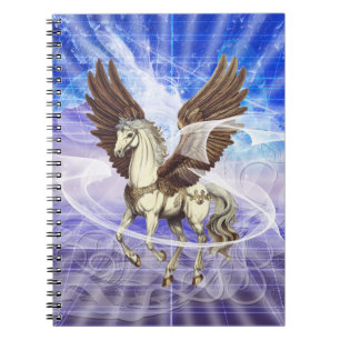 Pegasus Notebook