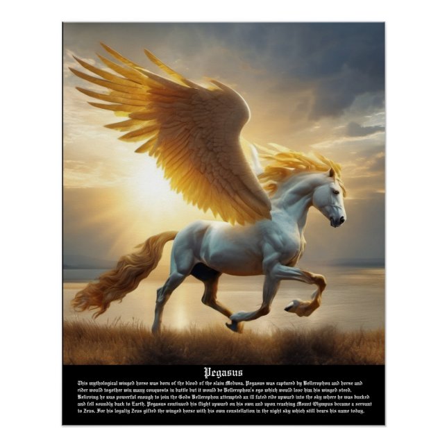 Pegasus Poster (Front)