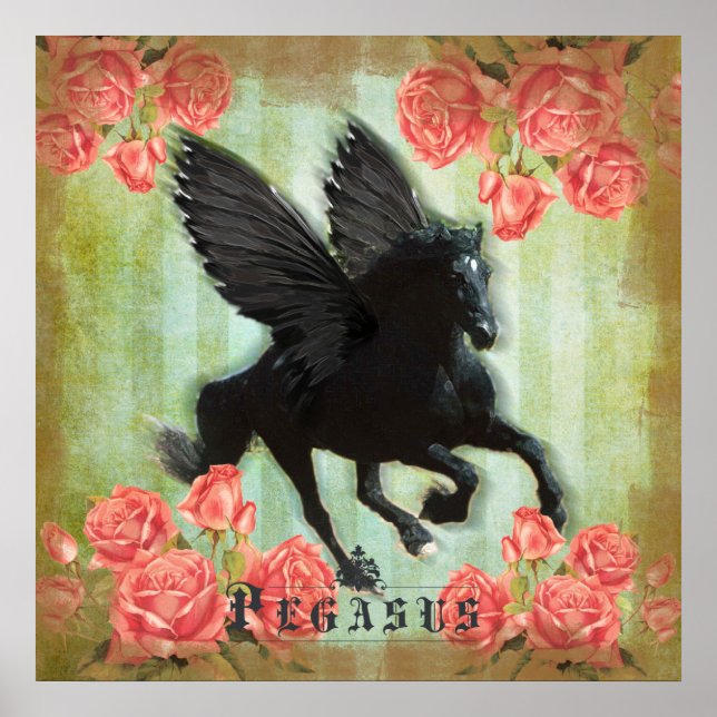 Pegasus - Poster (Front)