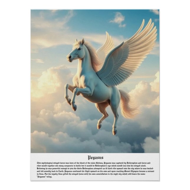Pegasus Poster (Front)