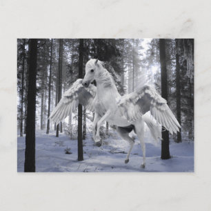 Pegasus Winged Flying Horse Forest Snow Postcard