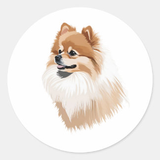 Pegatin dog Pomeranian Classic Round Sticker