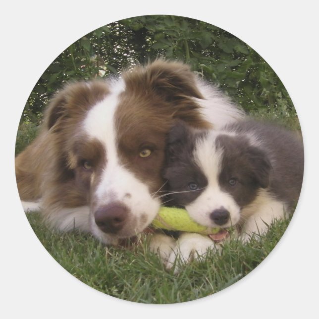 Pegatina Kun and Vir Classic Round Sticker (Front)