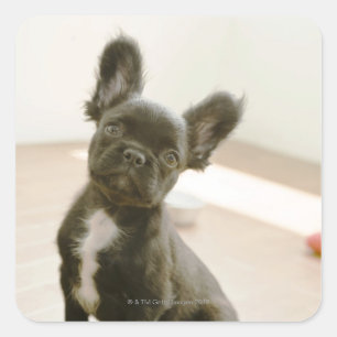 Peki-French Square Sticker