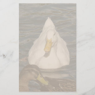 Pekin Duck Birds Stationery