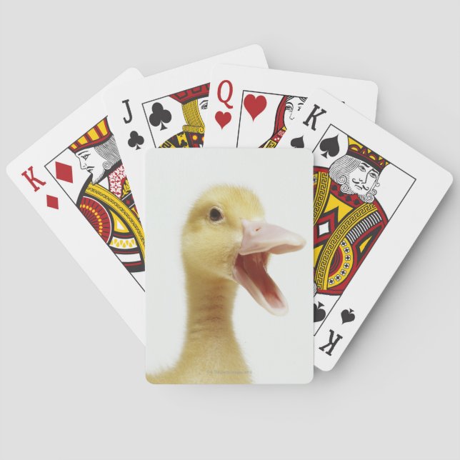Pekin duck chick, head-shot playing cards (Back)