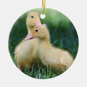 Pekin Ducklings Ceramic Tree Decoration