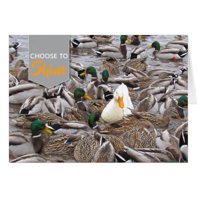 Pekin & Mallard Duck Choose to Shine (Front Horizontal)