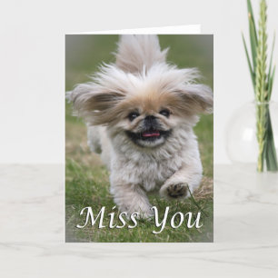 Pekinese miss you card