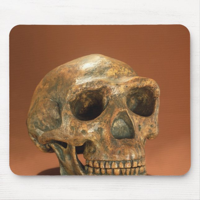 Peking Man's reconstructed skull Mouse Pad (Front)