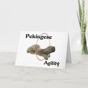 Pekingese Agility Greeting Card