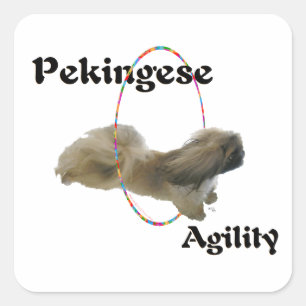 Pekingese Agility Square Sticker