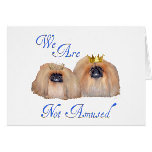 Pekingese Are Not Amused