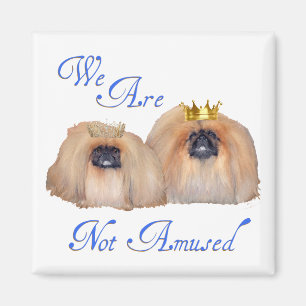 Pekingese Are Not Amused Magnet