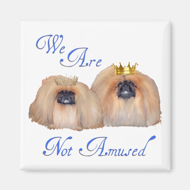 Pekingese Are Not Amused Magnet (Front)